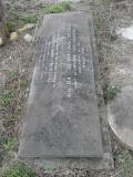 image of grave number 295009